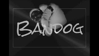 Bandog ft Saz  CRONACHE DI RESISTENZA [upl. by Lutim951]