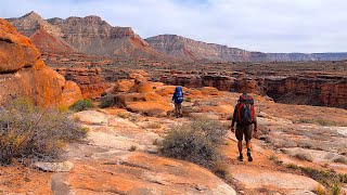 Backpacking the Grand Canyons Kanab Creek Wilderness 6 Day Jumpup Esplanade Loop Hike [upl. by Lewendal470]