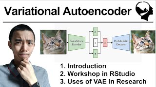 Variational Autoencoder  Introduction and Workshop [upl. by Ribak]