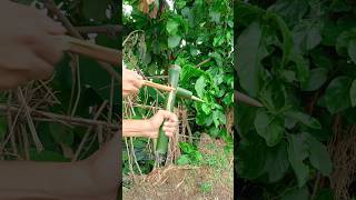 Bamboo creation with new Arrow world technology Technology Diy Bamboo [upl. by Axel]