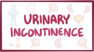 Urinary incontinence  causes symptoms diagnosis treatment pathology [upl. by Liesa132]