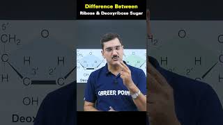 Difference between ribose and deoxyribose sugar biology shortvideo kotacoaching neet knowledge [upl. by Garrity]