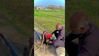 Ld water engine peter start shortsfeed shorts agriculture water pump youtubeshorts [upl. by Saxet531]