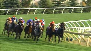 1996 Breeders Cup Mile [upl. by Bishop]