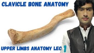 anatomy of clavicle bone  Zaa MedTalk [upl. by Zorina694]