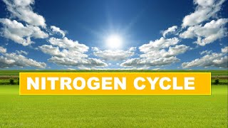 NITROGEN CYCLE EASY WAY II INSIGHTFUL LEARNING [upl. by Eekaz]