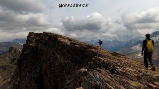 Whaleback  Isolated Peak in Yoho BC Rocky Mountains [upl. by Ecnarret384]