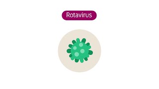 Wat is het rotavirus [upl. by Brinson]