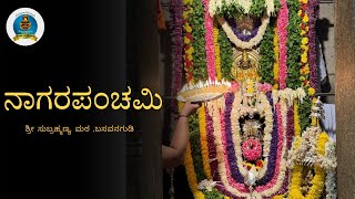 Nagara Panchami  Shree Subrahmanya Matha  Basavanagudi [upl. by Eelanaj713]