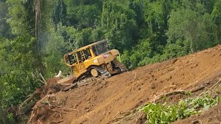 CAT D6R XL Bulldozer Clears Forests into Plantations Dozers Work in the Mountains [upl. by Klug817]