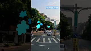 임영웅마량에가고싶다대만여행Taiwan Travel Taipei Drive City trip 타이베이드라이브도시여행임영웅노래shorts [upl. by Erotavlas169]