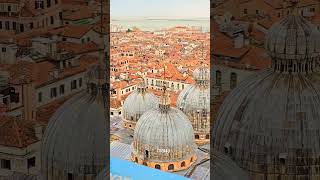 View from Campanile Piazza Di San Marco Bell Tower shorts [upl. by Alyson165]