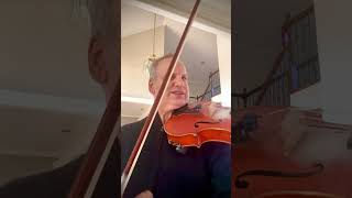 Hoffmeister Viola Concerto Mvt 1 master class tutorial [upl. by Chong]