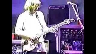 Phish 8141996 Hershey Park Stadium  The Mango Song [upl. by Ardet604]