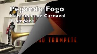 Pegando Fogo Marchinha de Carnaval Trompete [upl. by Novyat]