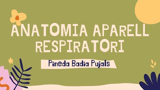 Anatomia aparell respiratori [upl. by Leind]