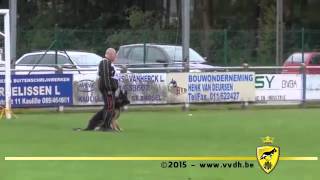 Erik Bauwens  Belgisch Kampioenschap 2015 Pakwerk [upl. by Malaspina]