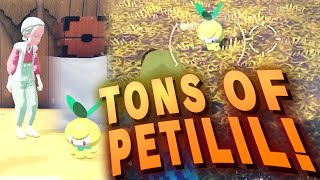 Where To Find Petilil Location  The Search for Bitter Leaves Side Quest  Pokemon Legends Arceus [upl. by Ress]