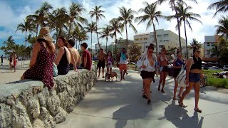 Lummus Park is the Best Beach Park South Beach Miami Beach Florida [upl. by Eiramalegna]