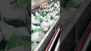 Costcos turkeys are finally here [upl. by Nylirak]