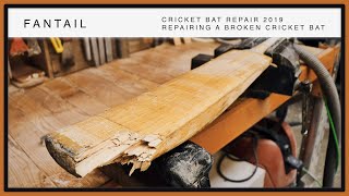 How To Knock A Cricket Bat  Best Tips amp Techniques for PRO Cricket Playing to Master your Gameplay [upl. by Jit]