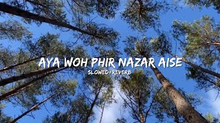 Aya Woh Phir Nazar AiseSlowedReverbsong [upl. by Xila508]