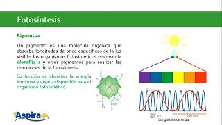 Biología Unidad 2 Sesión 2 UNAM SUAyED  2025 [upl. by Sidon91]