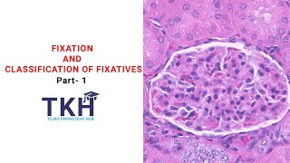 Fixation and Classification of Fixatives Part 1  Properties of fixative  Histopathology  DMLT [upl. by Adialeda]