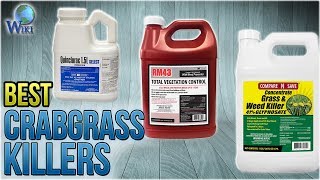 10 Best Crabgrass Killers 2018 [upl. by Mitchell310]