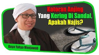 Kotoran Anjing Yang Kering Di Sandal Apakah Najis   Buya Yahya Menjawab [upl. by Assyram]