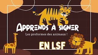 Les proformes des animaux [upl. by Suiramed]