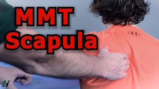 Manual Muscle Testing MMT  Scapula [upl. by Aiva963]