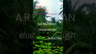 நீ வச்ச பாசம் கருத்தம்மா arrahman song tamil mannaiamvmusic shortsfeed shorrts swarnalatha [upl. by Elleirb]