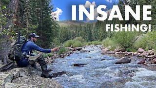 I Found the REAL Dream Stream Tenkara Fly Fishing [upl. by Viglione]