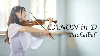 Canon in D Pachelbel AYAKO ISHIKAWA パッヘルベルのカノン 石川綾子 [upl. by Mariand]