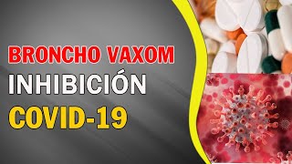 Broncho Vaxom el medicamento que posiblemente inhiba el Covid19 [upl. by Arraeit404]