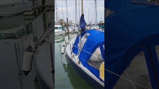 WE JUST GOT A BOAT LESSON 1 boatlife boatlifediaries freedomliving sailboat sailboatlife [upl. by Urson]