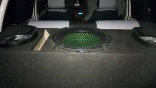 Mehran Treefrog Subwoofer [upl. by Eiba207]