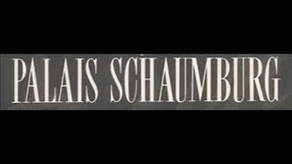 Palais Schaumburg  Live in Berlin 1981 Full Concert [upl. by Erdnad]