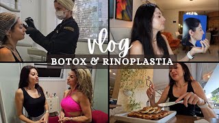 Vlog Minha Transformação  Antes e Depois da Rinoplastia Botox e Preenchimento Labial [upl. by Nnahoj]