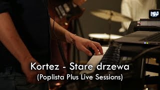 Kortez  Stare Drzewa Poplista Plus Live Sessions [upl. by Nimesay]