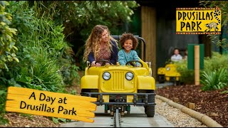 Drusillas Park  The Best Family Day Out in Sussex [upl. by Esilehc201]