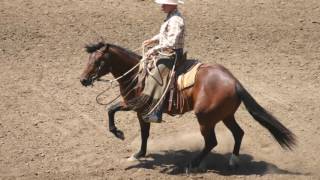 Buck Brannaman clinics from Dayton WA 2009 2016 [upl. by Gaughan699]