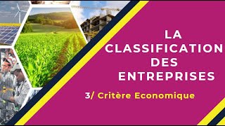 📌EOAE 1ère Bac Sc Eco  Lentreprise et son Environnement 15 👉 Classification Ese selon lactivité [upl. by Aerbas]