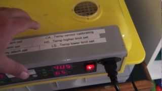 Cheap Chinese egg incubator review [upl. by Hirai]