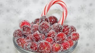 Sugared Cranberries Recipe  Candied Cranberries  How to Make Sugared Cranberries [upl. by Leroj460]