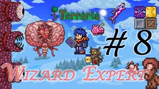 Terraria Wizard บทที่ 8 บอสกำแพงหรอ ไม่เห็นหน้าพี่ก็ฆ่าได้ 555 โคตรจะโกง [upl. by Andromache]