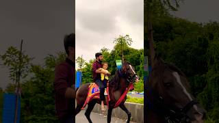 Dhruhi Horse Riding  horse horses ghoda horseriding horselover ytvideo shortsfeed [upl. by Nebra504]