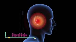 10000 Hz Beta Wave Tinnitus Sound Therapy To Unblock Your Ears  15 Min Isochronic Binaural Beats [upl. by Newton]