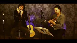 tango mano a mano instrumental pablo brotzman armónica  dario alegre guitarra  duo argentino [upl. by Nycila]